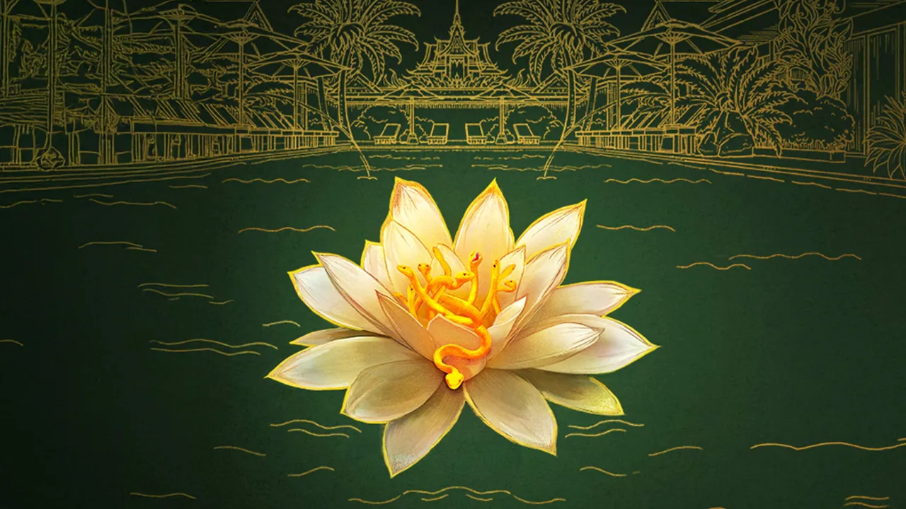The White Lotus - görsel 5