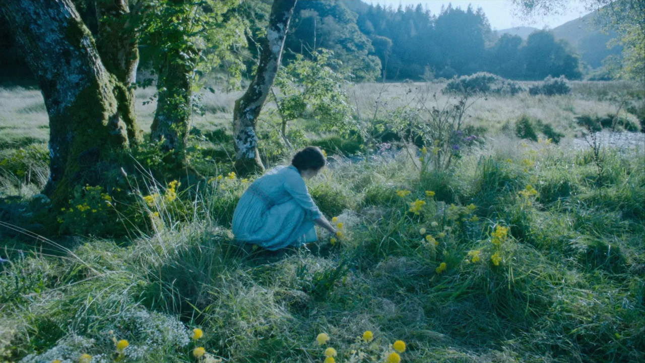 Lady Chatterley'in Sevgilisi İndir - görsel 9