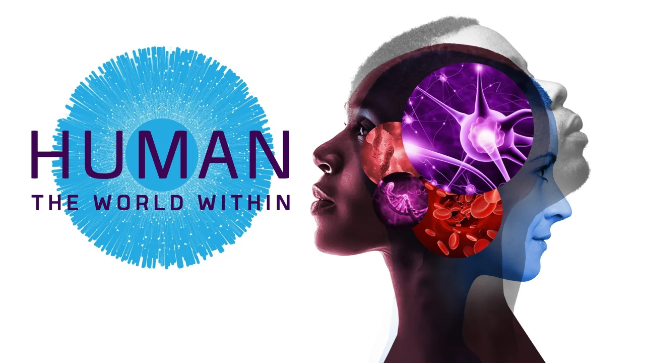 Human: The World Within 1080p İndir - görsel 3