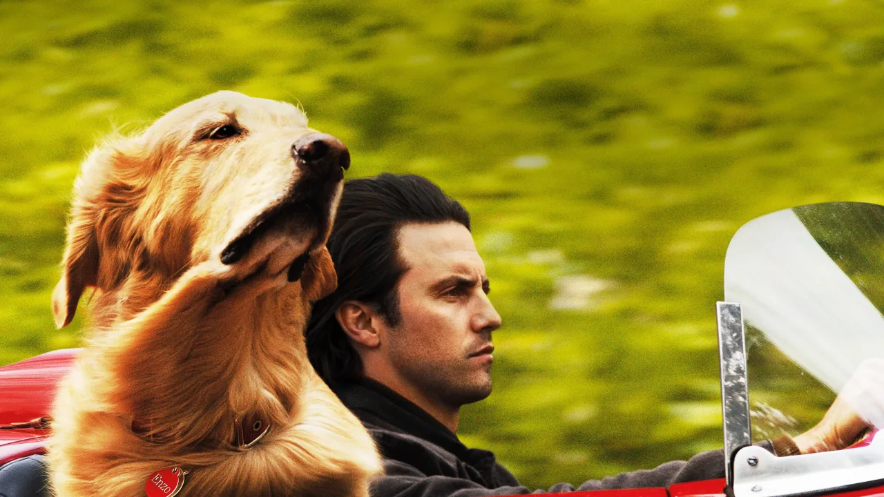 Enzo: Yağmurda Yarış Sanatı İndir - görsel 2