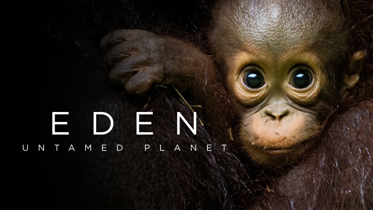 Cennet: El Değmemiş Gezegen 1080p İndir - görsel 6