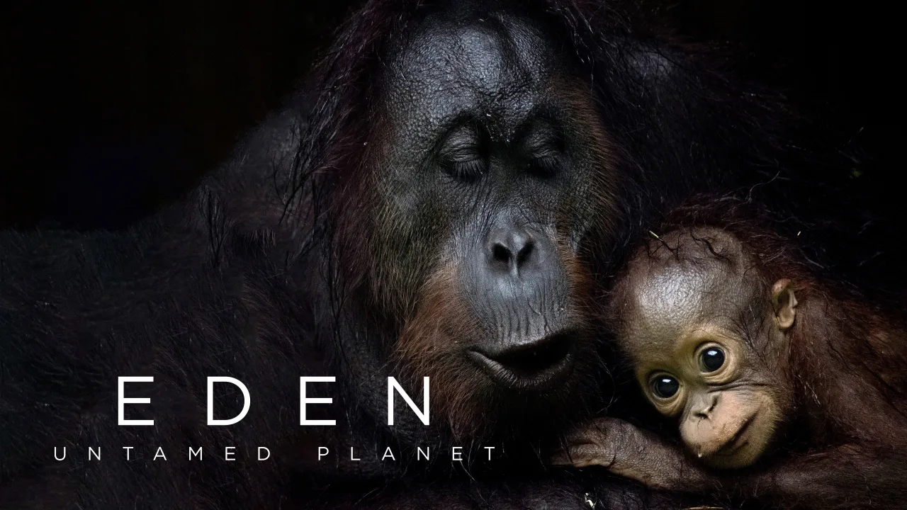 Cennet: El Değmemiş Gezegen 1080p İndir - görsel 7