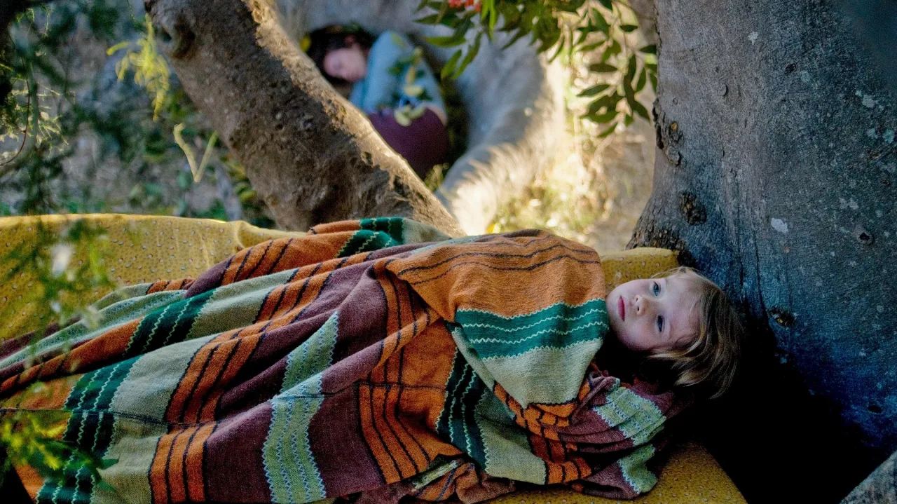 Ağaç İndir - görsel 2