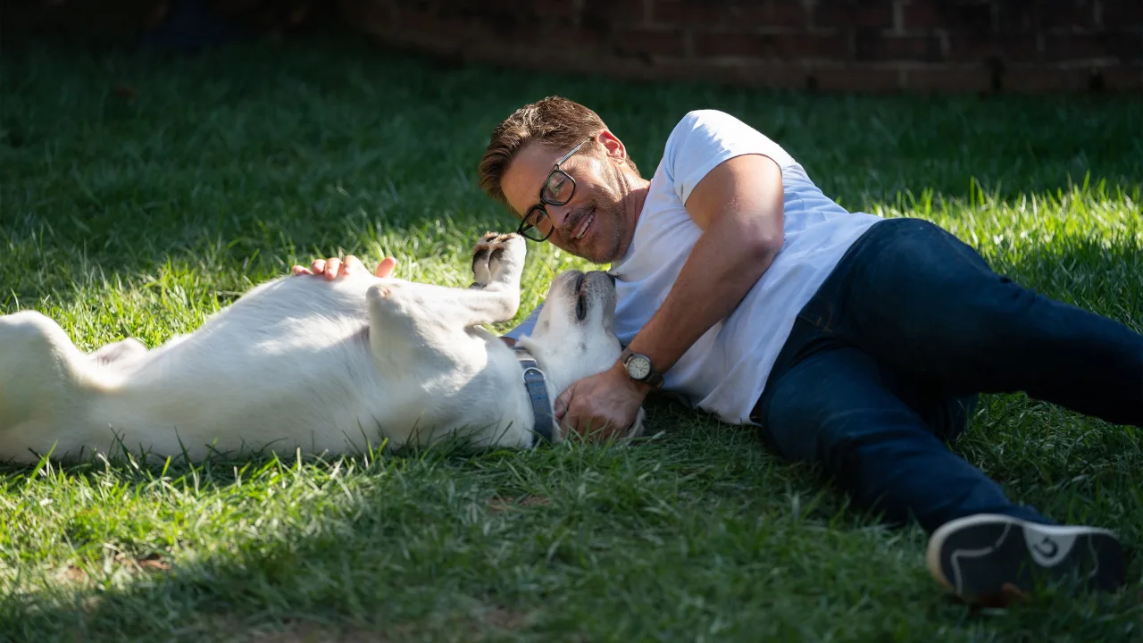 Kayıp Köpek İndir - görsel 2