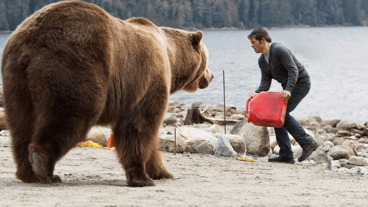 Into the Grizzly Maze İndir - görsel 5