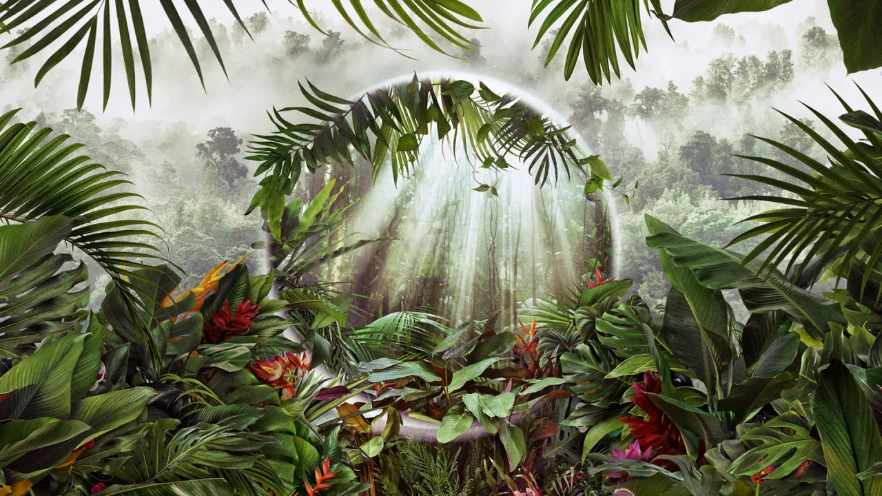 The Green Planet İndir - görsel 2