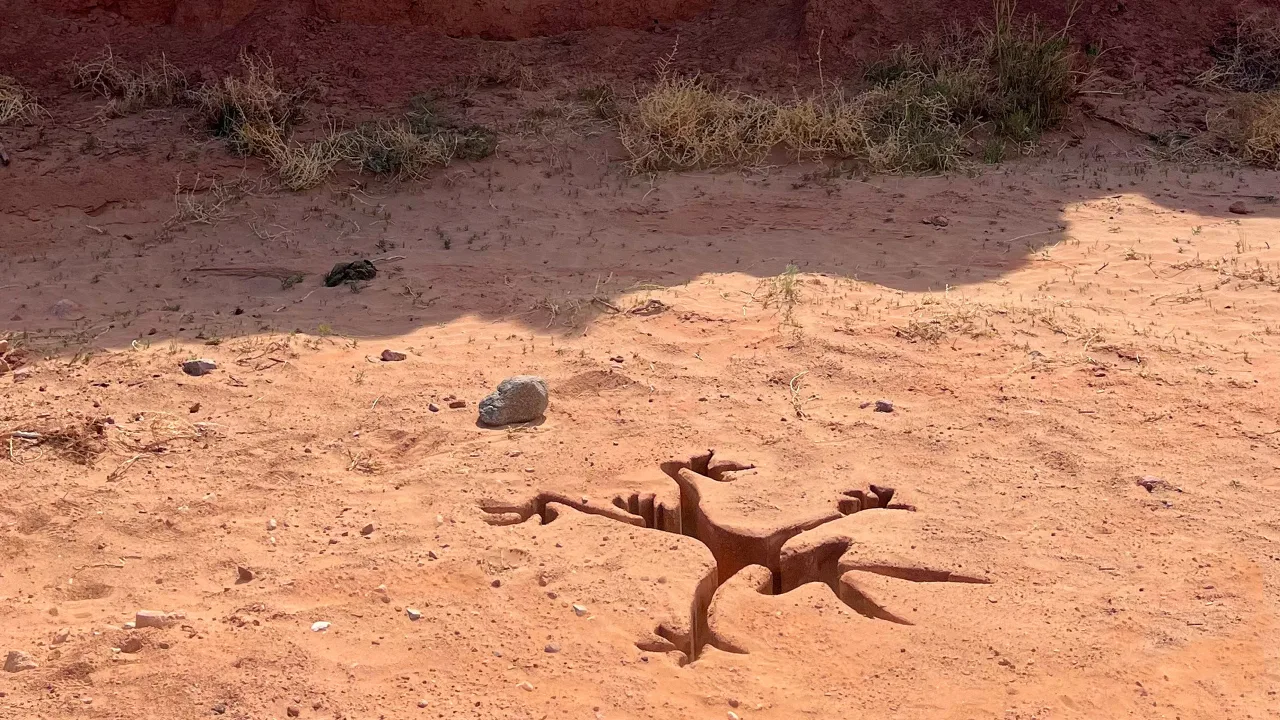 Coyote Acme'ye Karşı - görsel 3