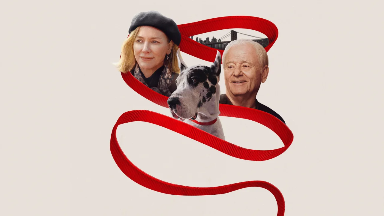 The Friend İndir - görsel 10