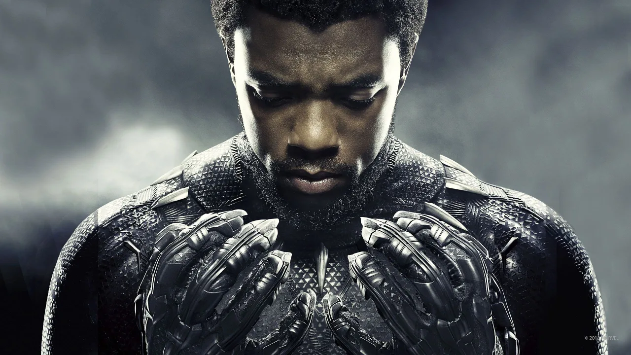 Black Panther İndir - görsel 9