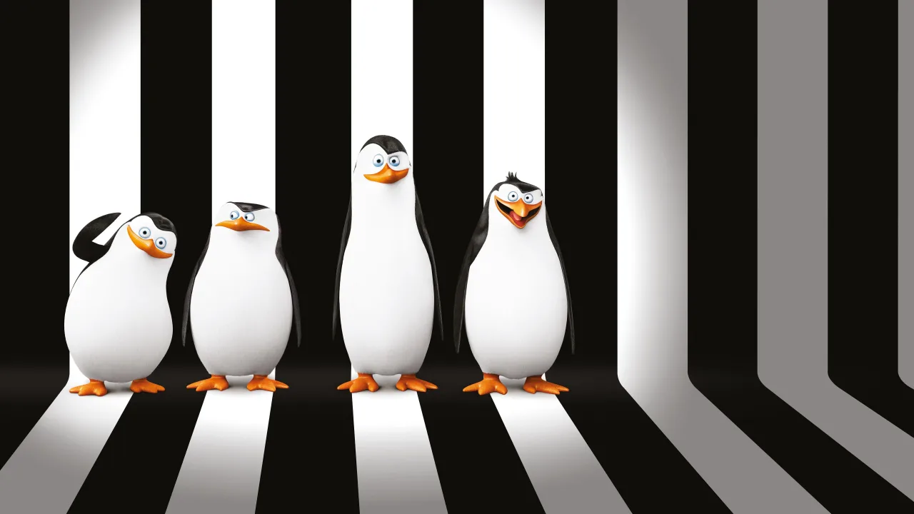 Madagaskar Penguenleri İndir - görsel 3