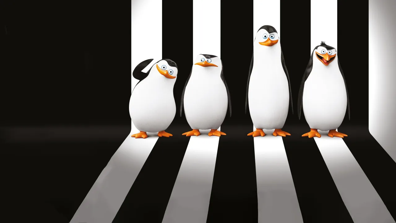 Madagaskar Penguenleri İndir - görsel 4