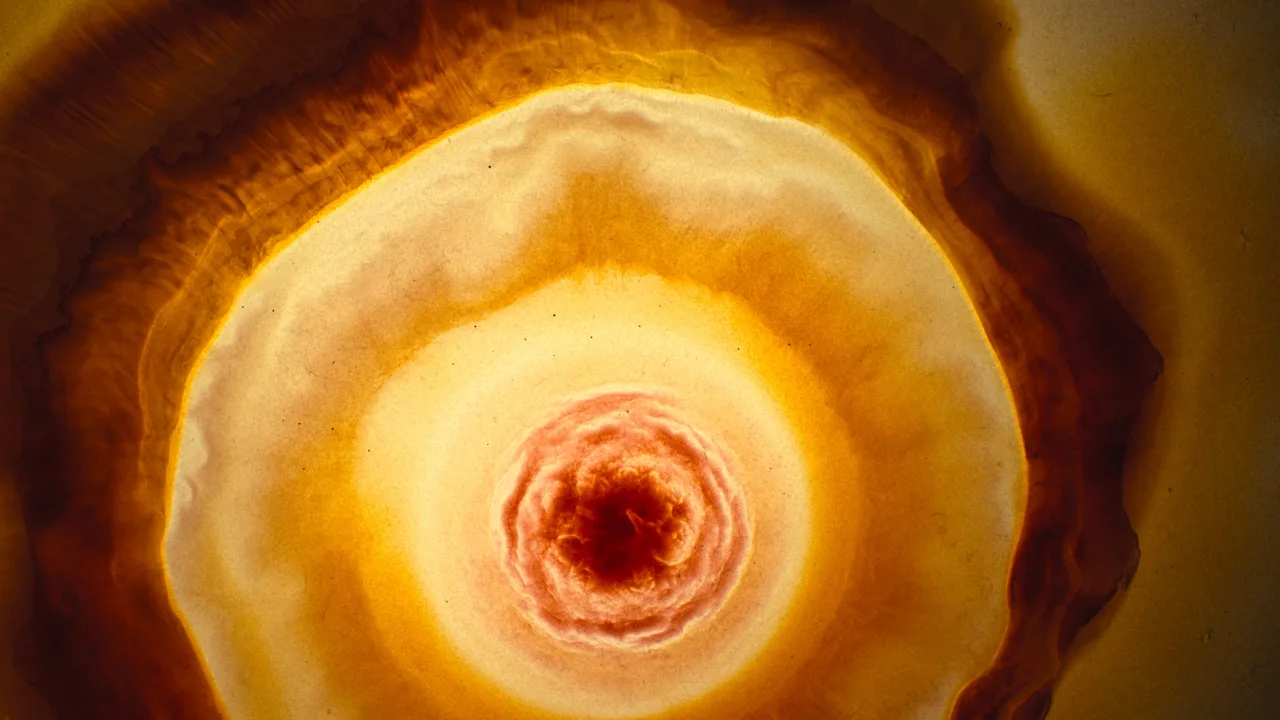 Voyage of Time: Life's Journey İndir - görsel 1