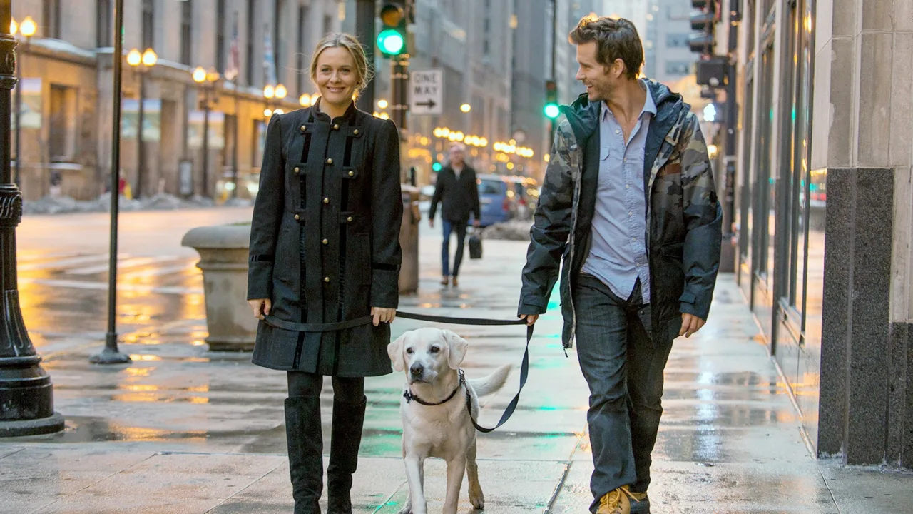 Who Gets the Dog? İndir - görsel 1