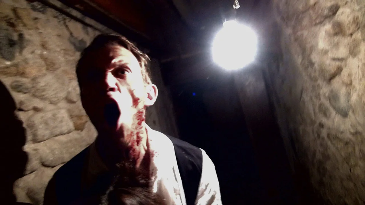 V/H/S İndir - görsel 10