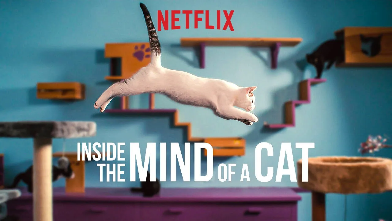 Inside the Mind of a Cat İndir - görsel 4