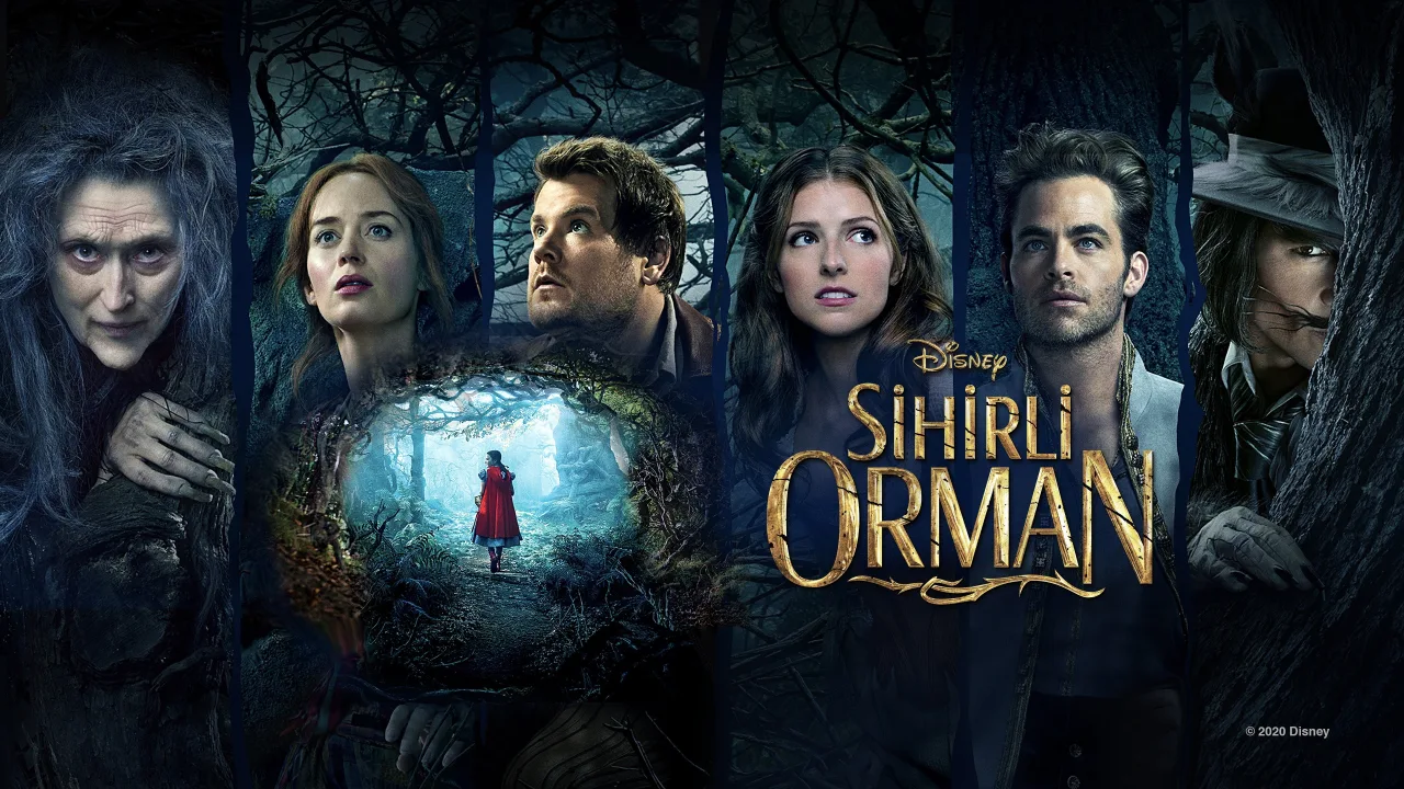 Sihirli Orman İndir - görsel 5