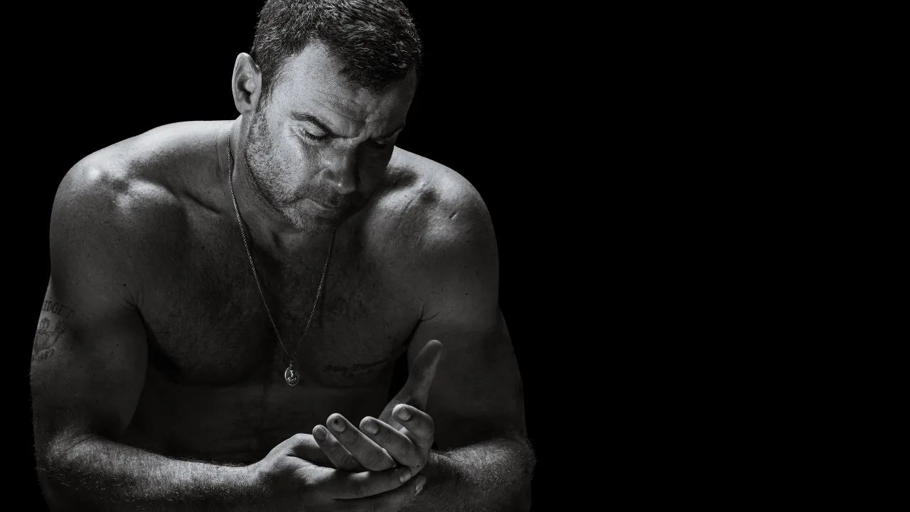 Ray Donovan 1080p İndir - görsel 10
