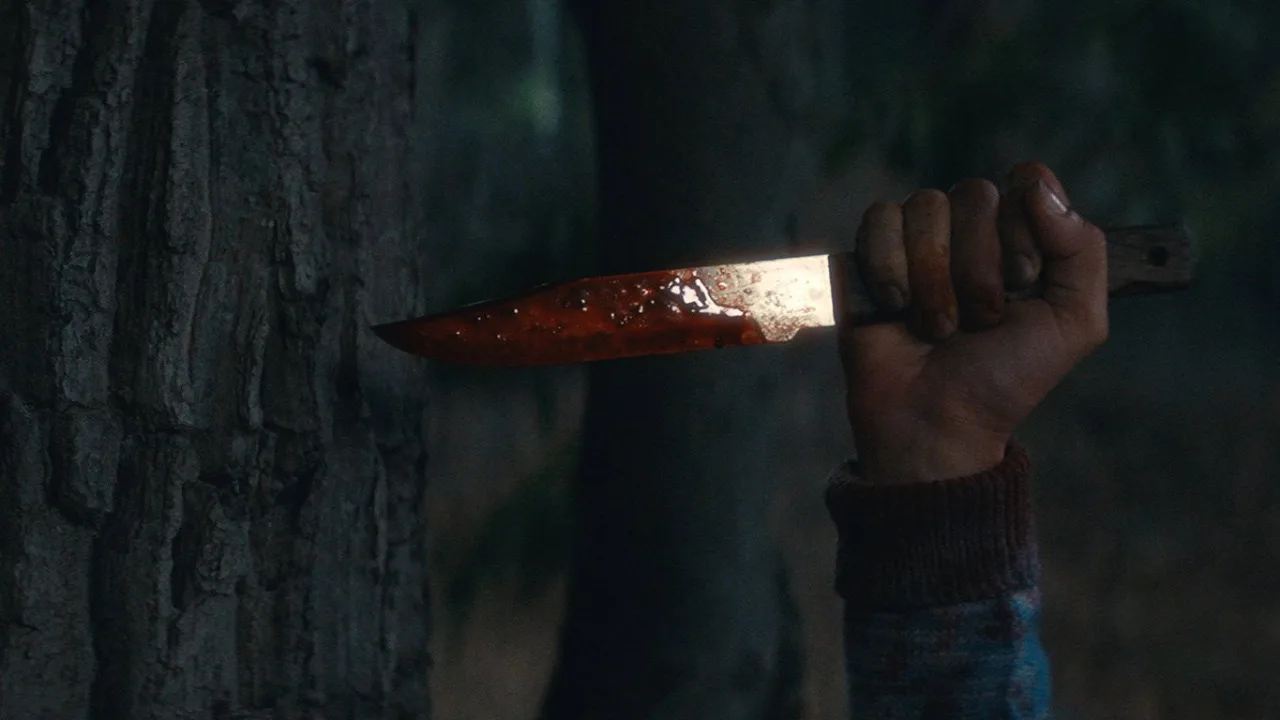 Crystal Lake 4K Dual İndir - görsel 7