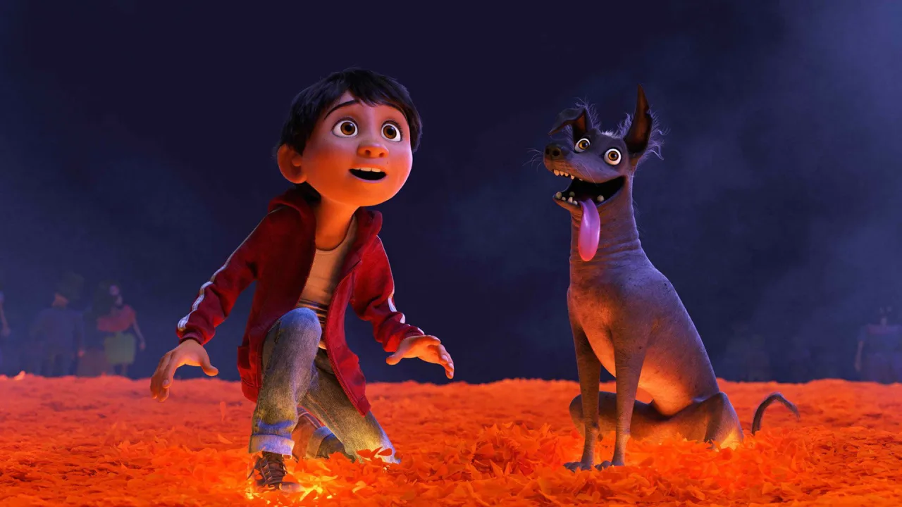 Coco İndir - görsel 8
