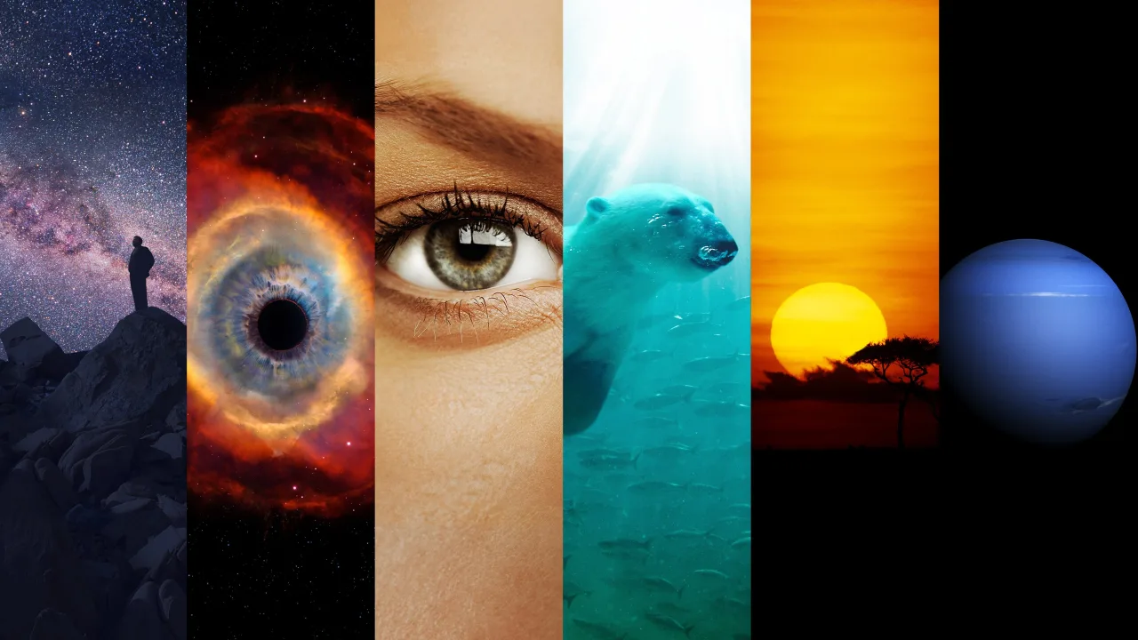 Cosmos: A Spacetime Odyssey İndir - görsel 1