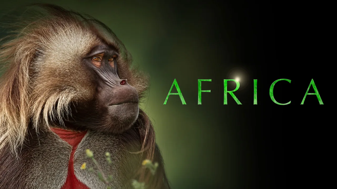Africa 1080p İndir - görsel 3