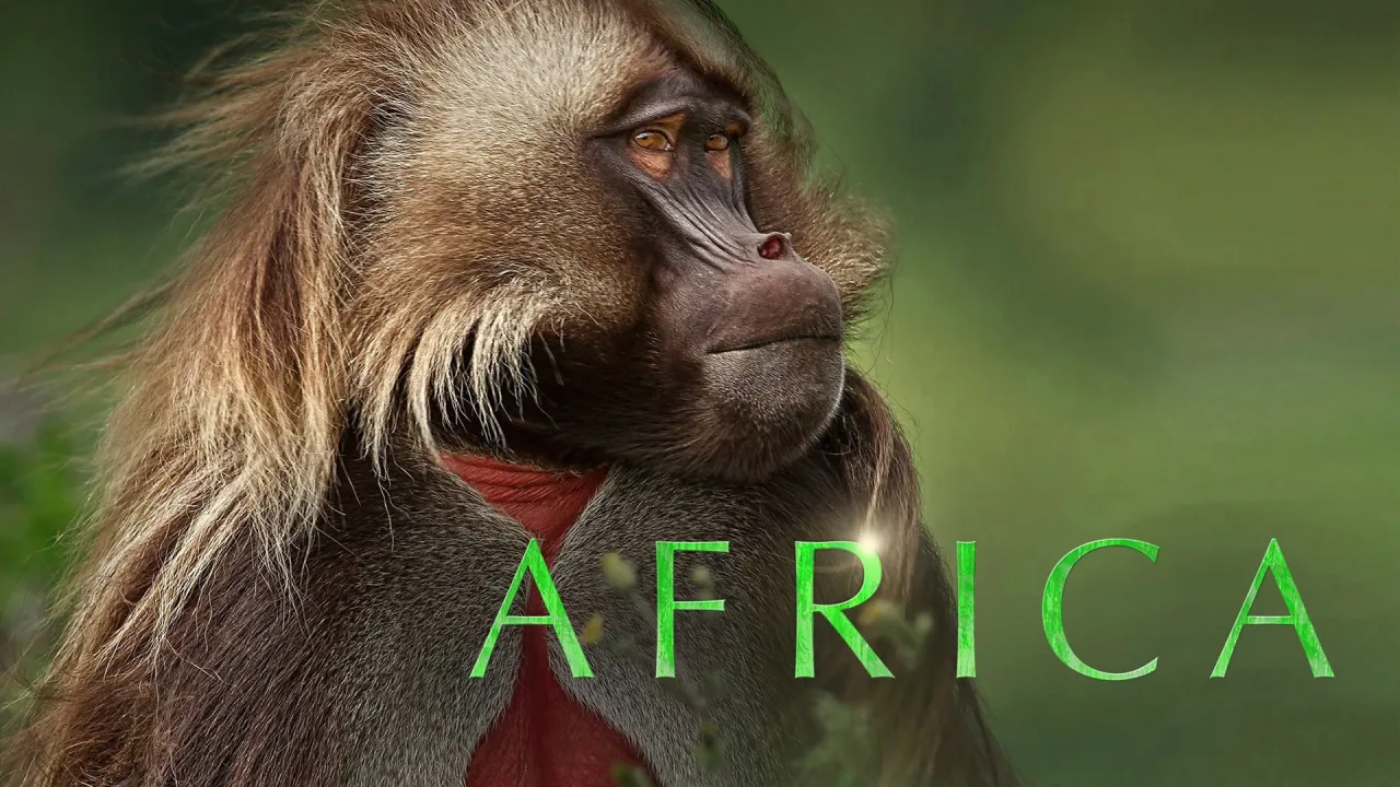 Africa 1080p İndir - görsel 4