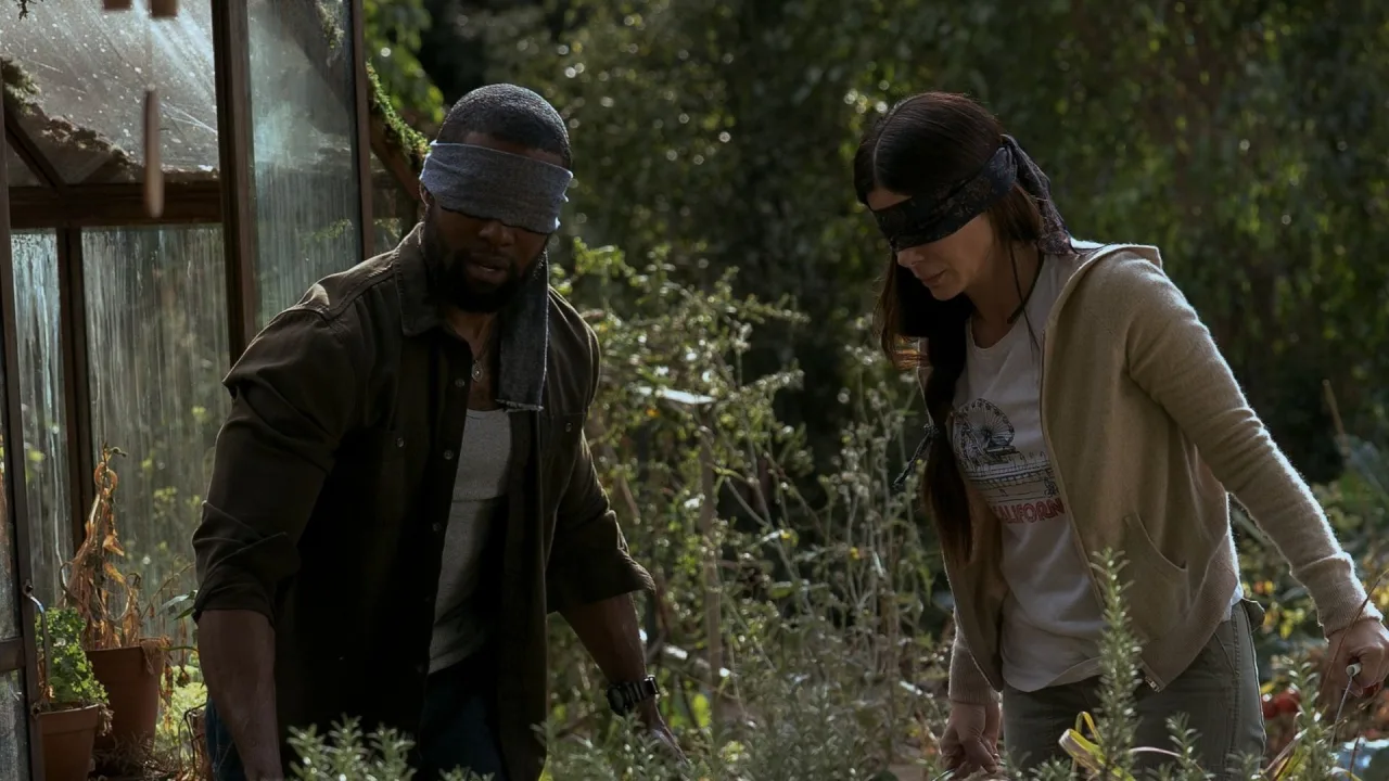 Bird Box İndir - görsel 3
