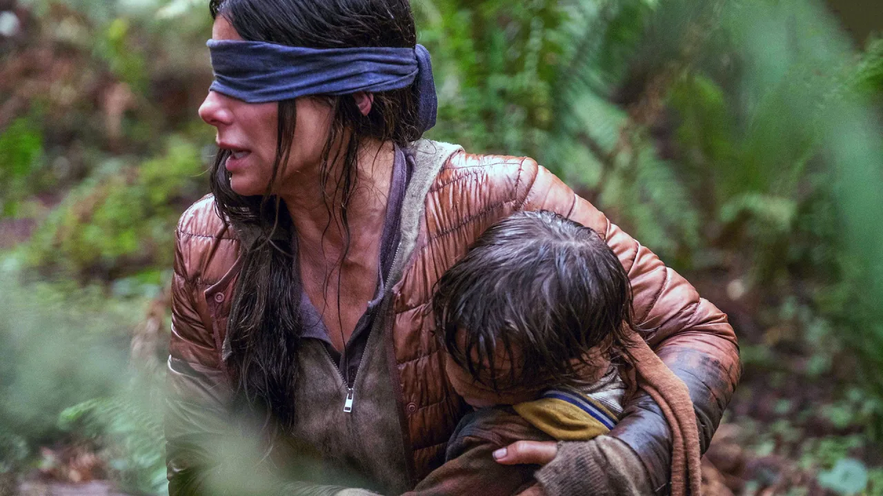 Bird Box İndir - görsel 6