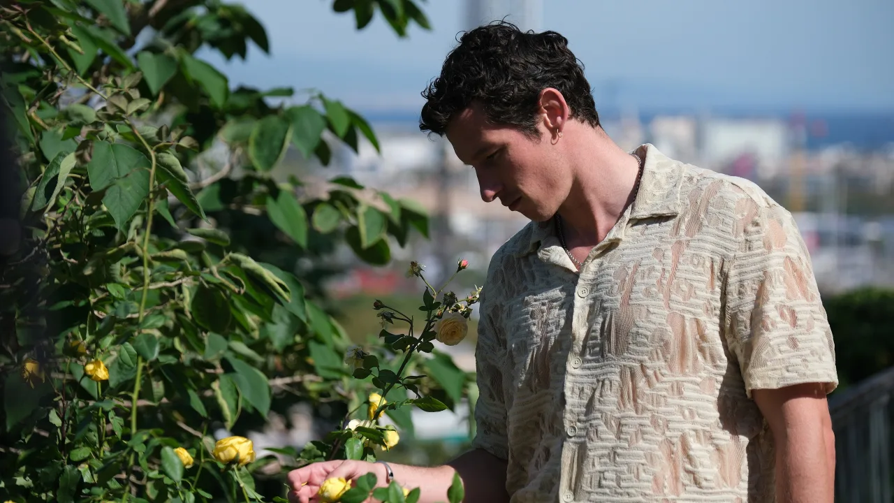 Rosebush Pruning - görsel 6
