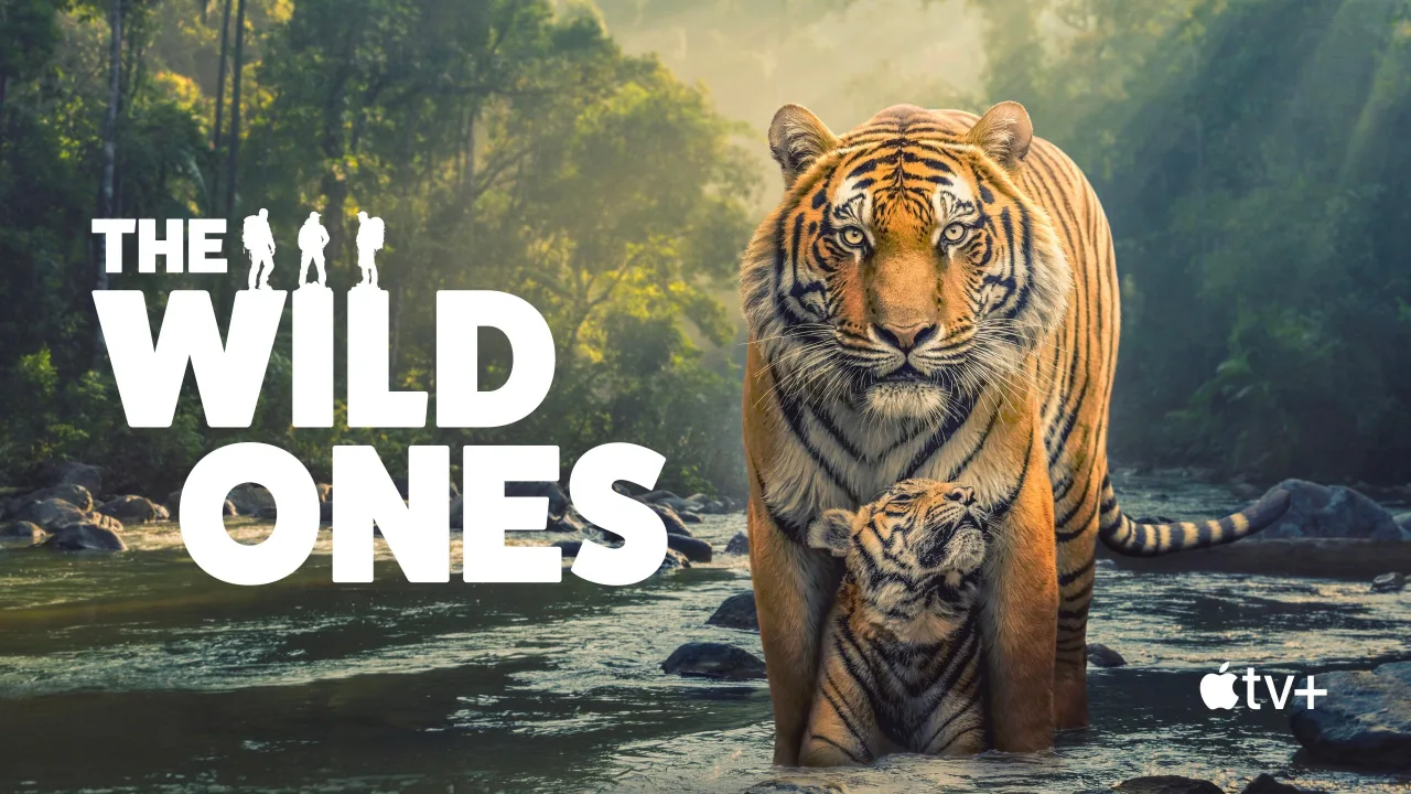 The Wild Ones 1080p İndir - görsel 4