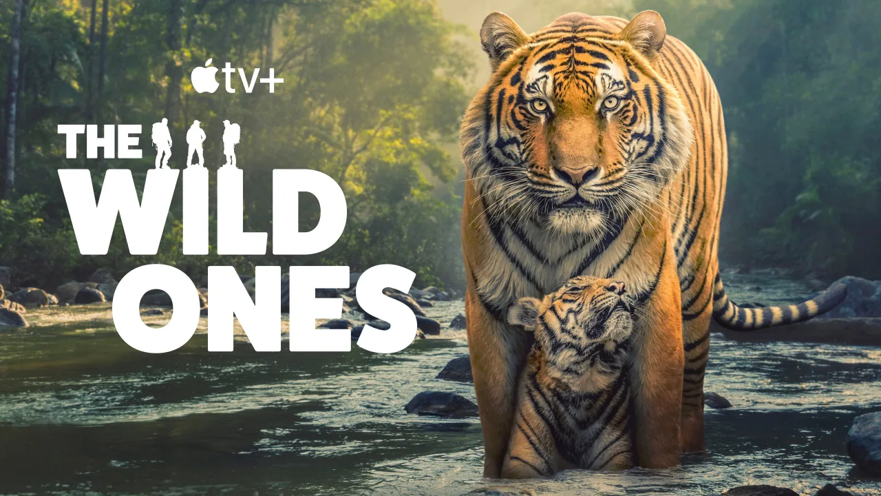 The Wild Ones 1080p İndir - görsel 5