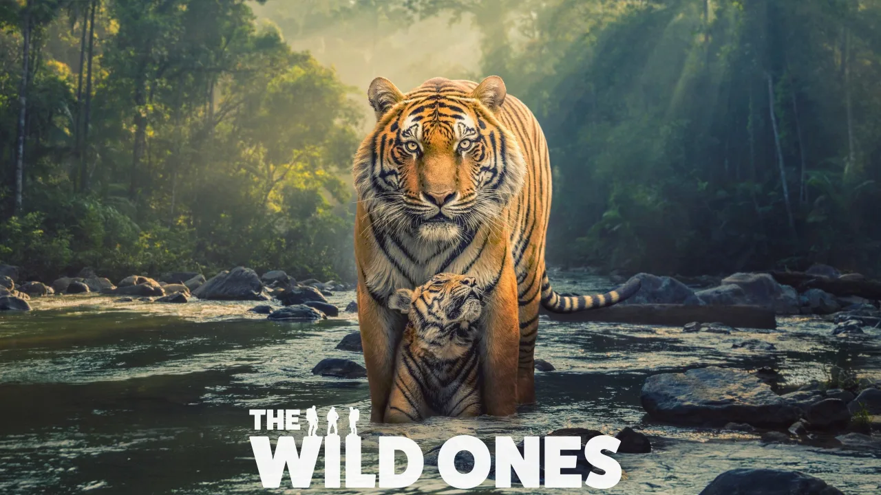 The Wild Ones 1080p İndir - görsel 6