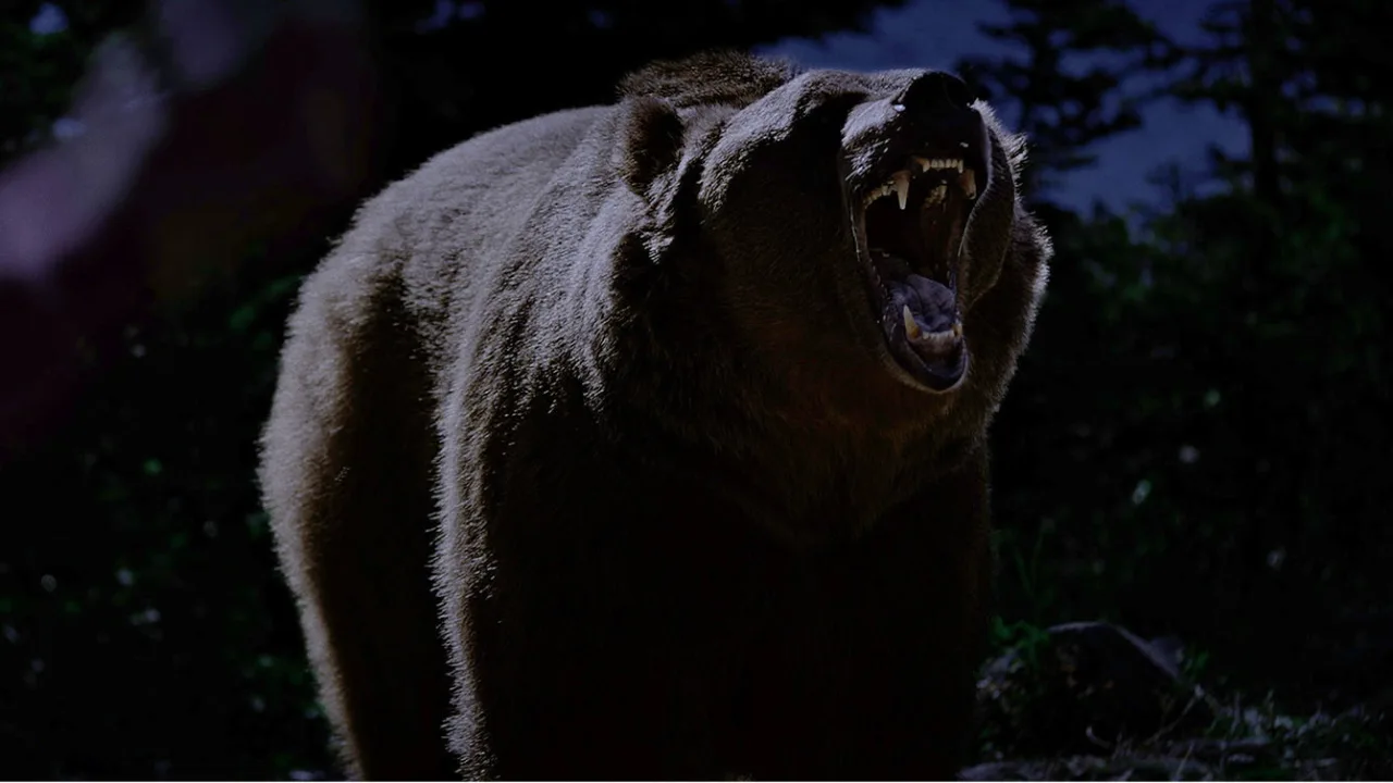 Grizzly Night İndir - görsel 10
