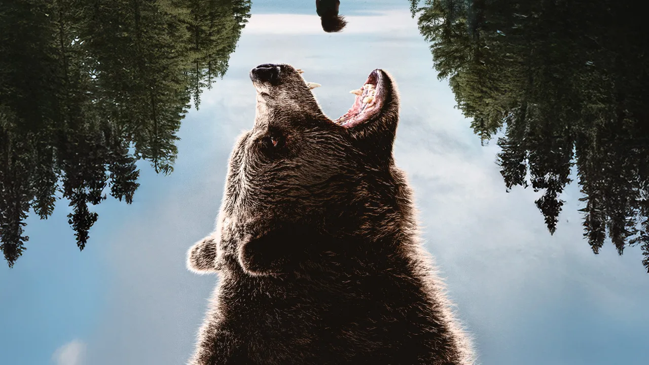 Grizzly Night İndir - görsel 2