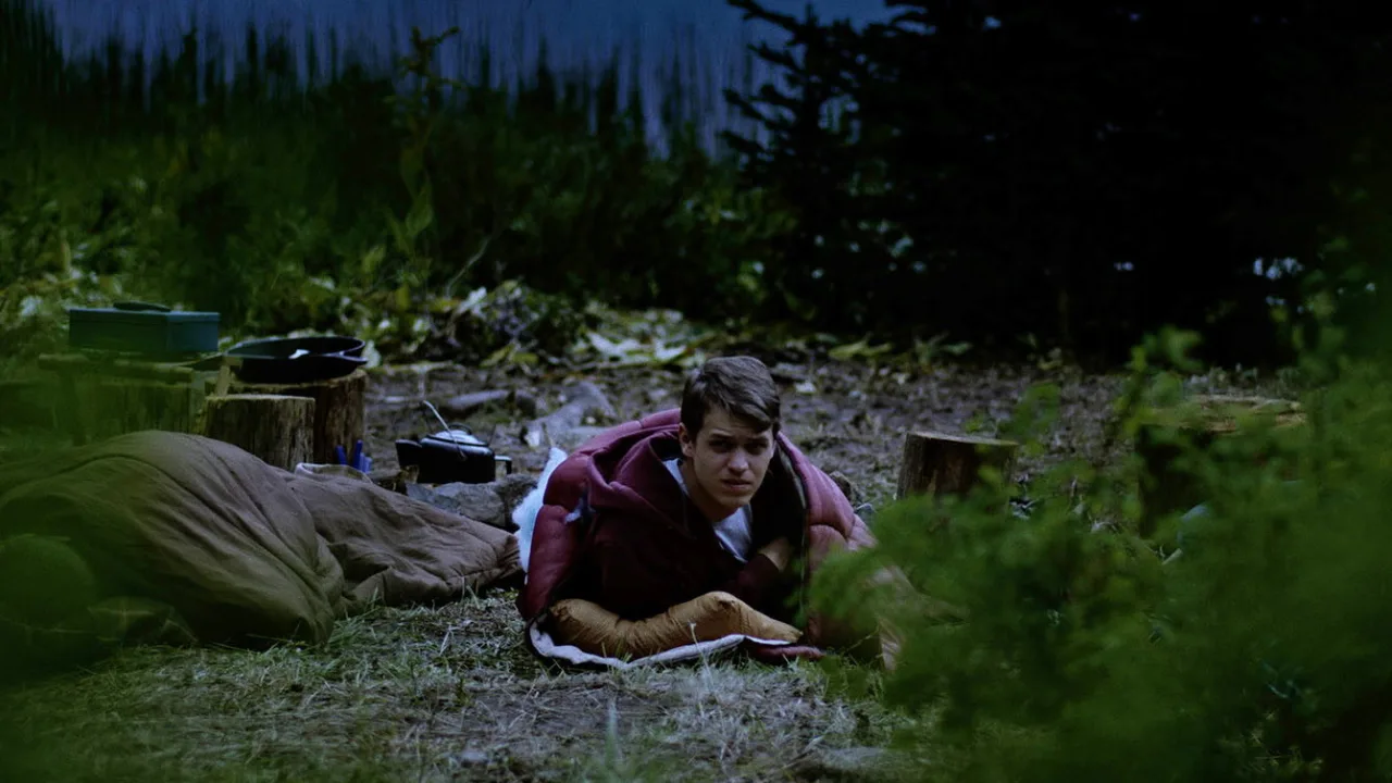 Grizzly Night İndir - görsel 9