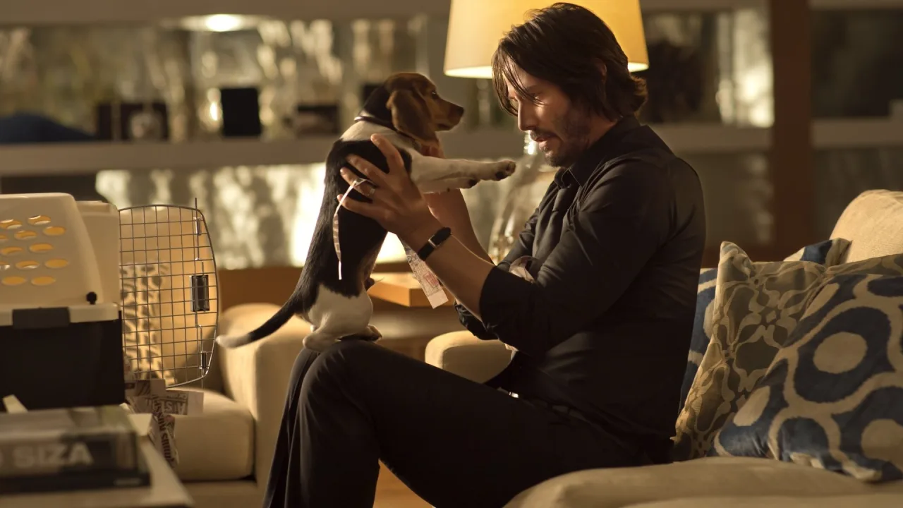 John Wick İndir - görsel 3