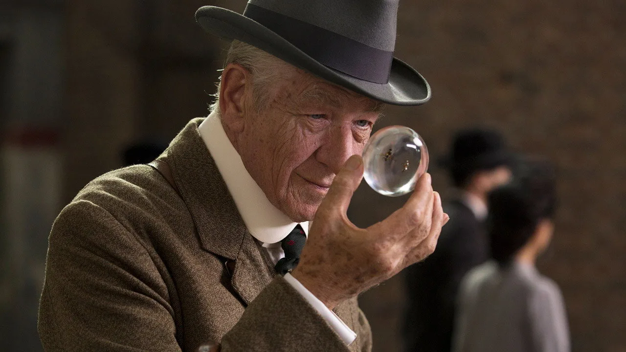 Mr. Holmes ve Müthiş Sırrı İndir - görsel 7