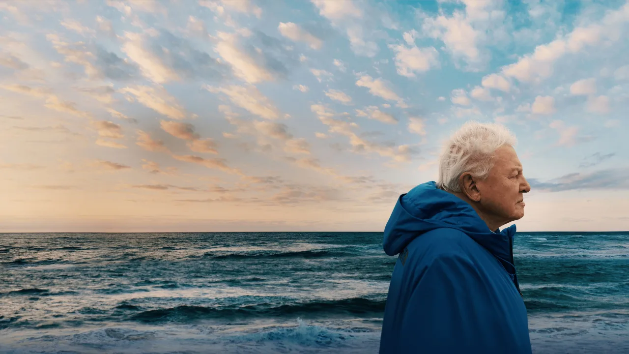 David Attenborough ile Okyanuslar İndir - görsel 1
