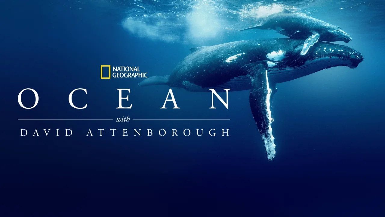 David Attenborough ile Okyanuslar İndir - görsel 10