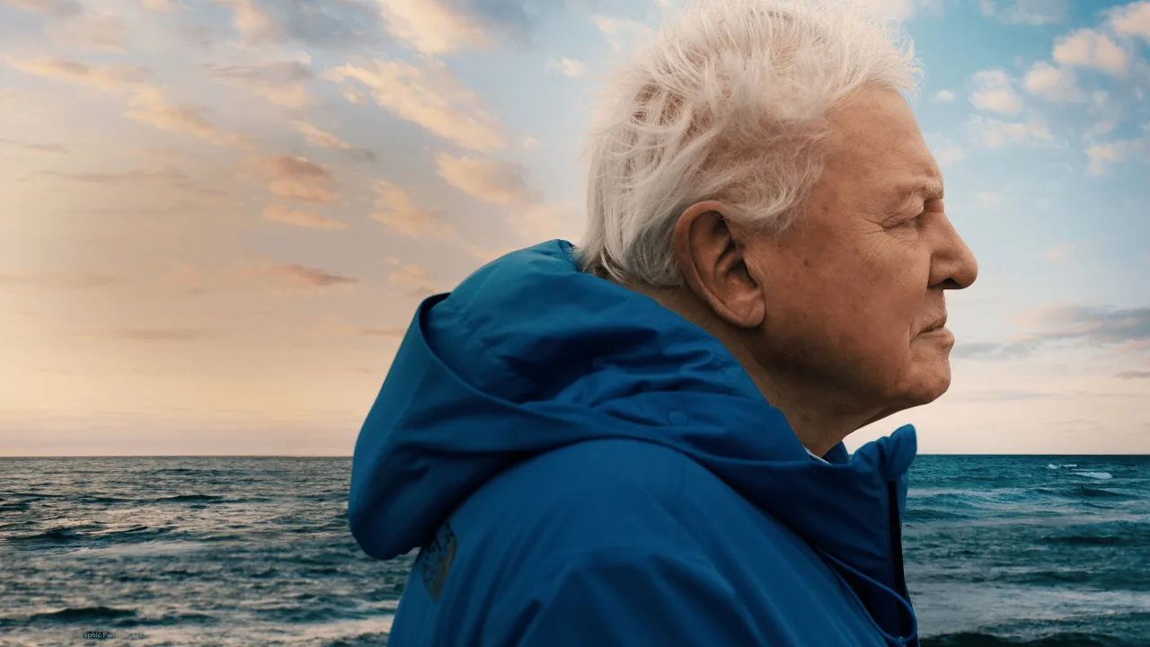 David Attenborough ile Okyanuslar İndir - görsel 4