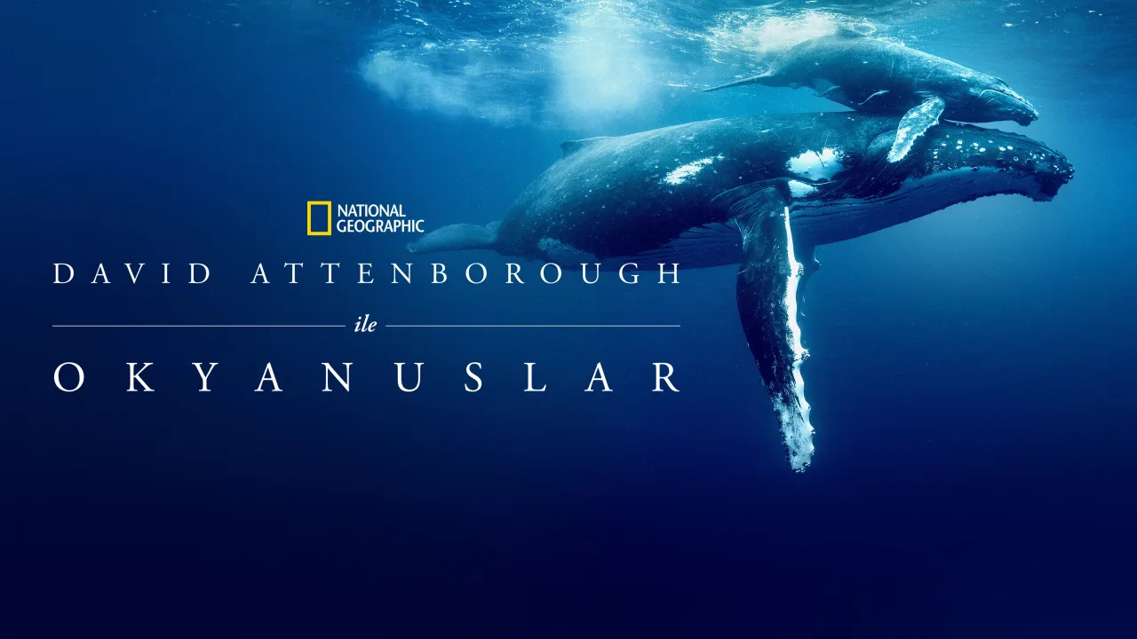 David Attenborough ile Okyanuslar İndir - görsel 9