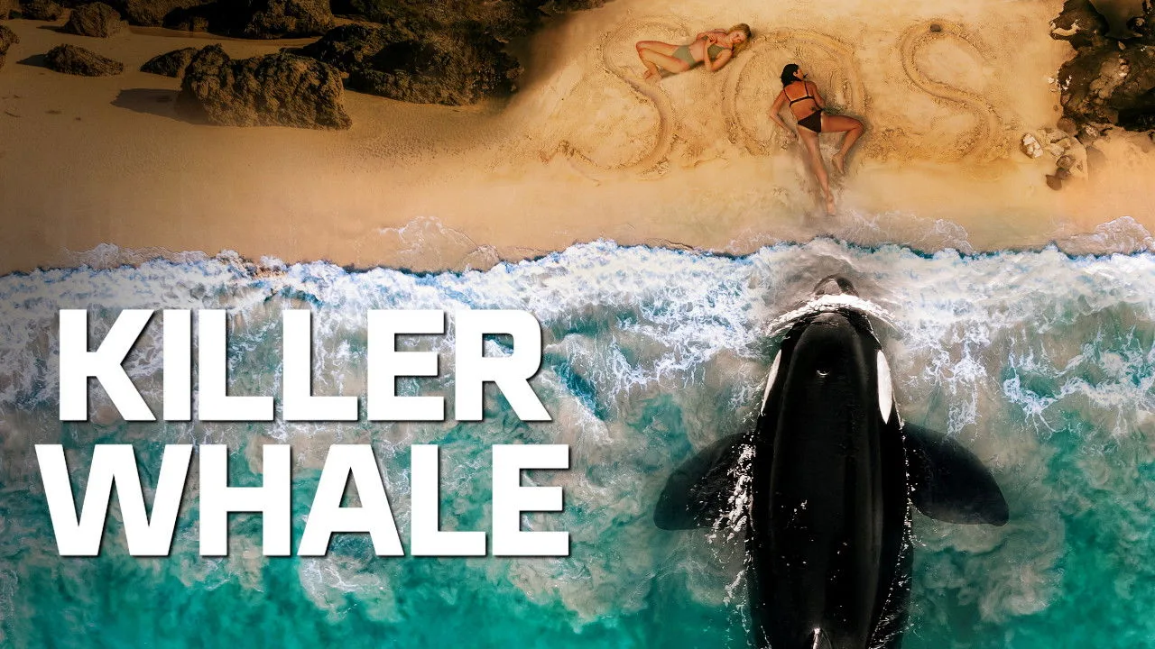 Killer Whale - görsel 10