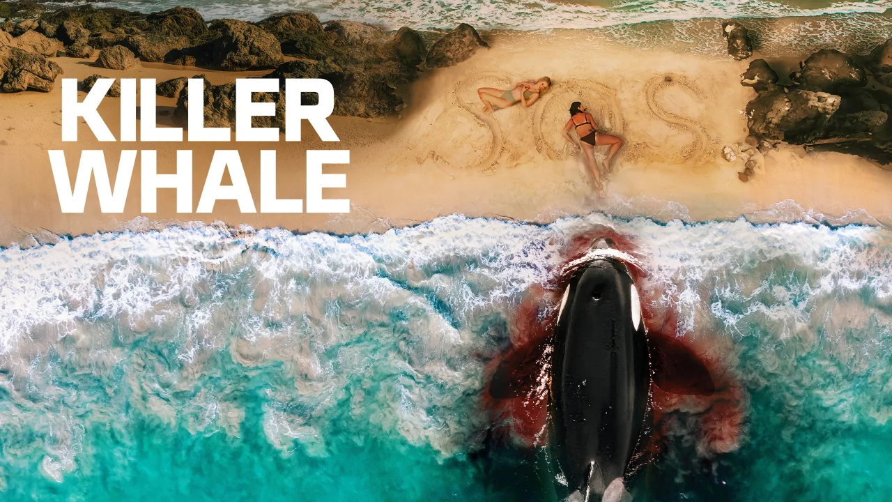 Killer Whale - görsel 9
