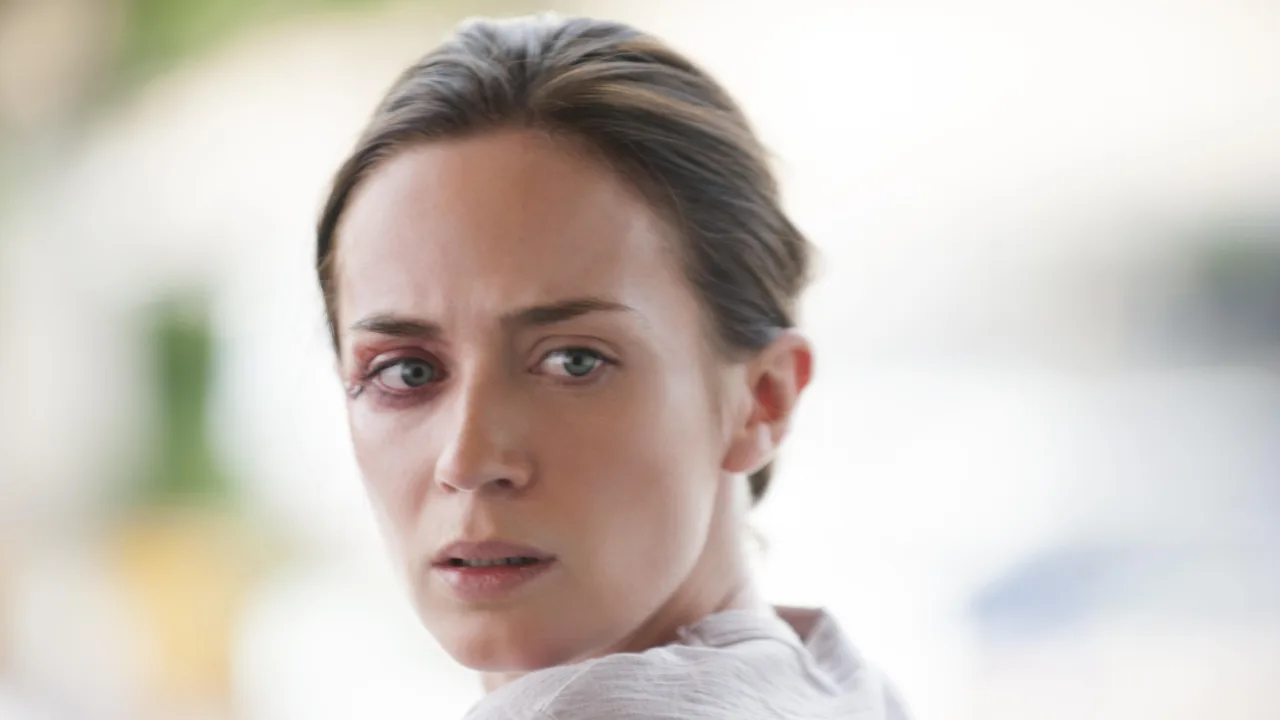 Sicario İndir - görsel 5