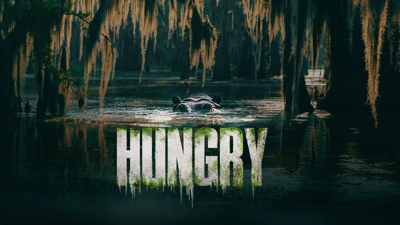 Hungry - görsel 10