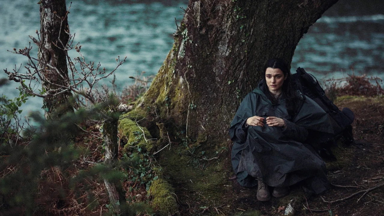 The Lobster İndir - görsel 10