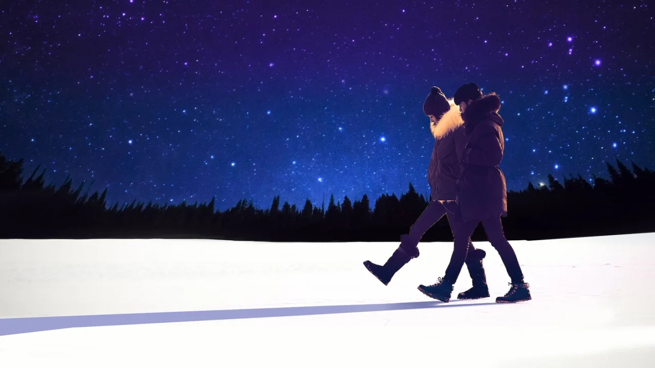 My Love from the Star (별에서 온 그대) İndir - görsel 1