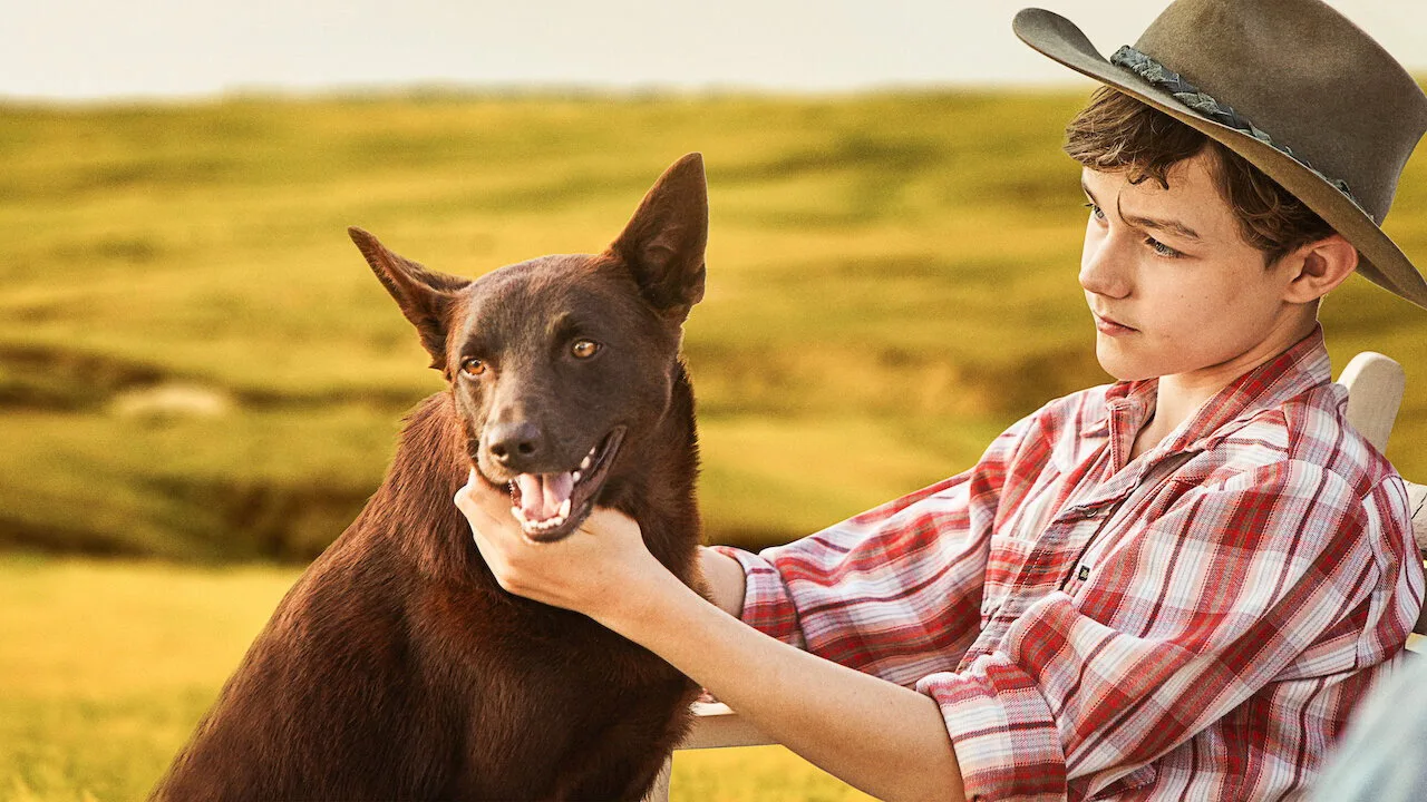 Red Dog: True Blue İndir - görsel 2