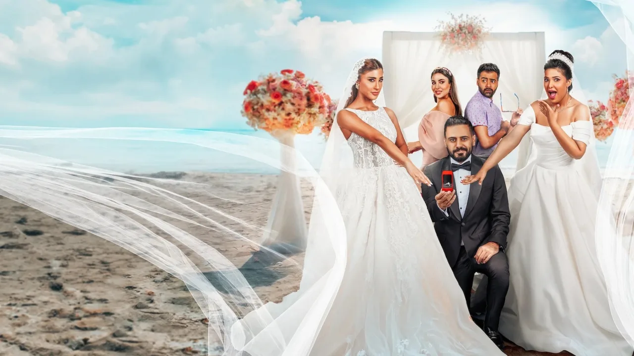 Bir Damat, İki Gelin İndir - görsel 2