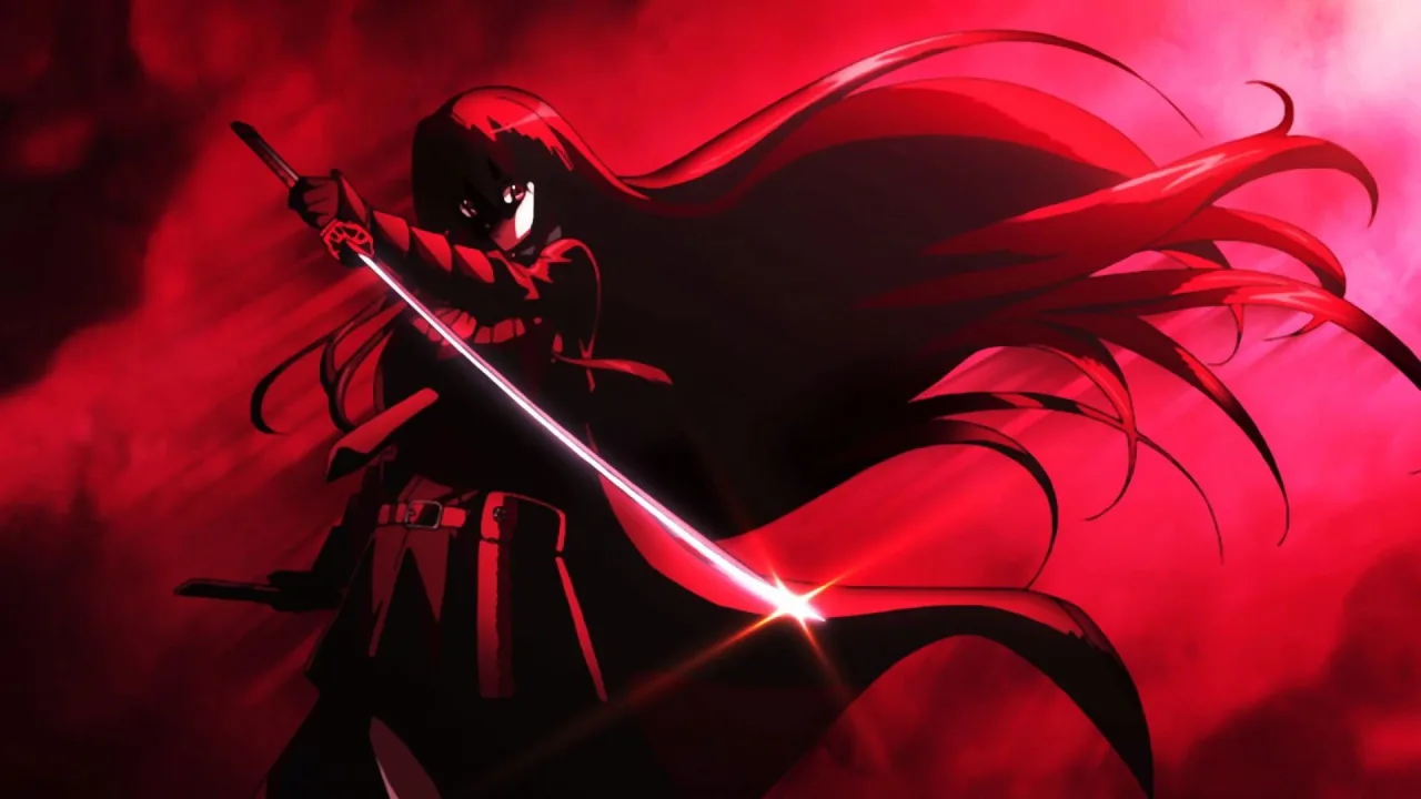 Akame ga Kill! 1080p İndir - görsel 3